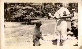 1935 Yosemite National Park Woman Tourists With Standing Black Bear Cub Photo