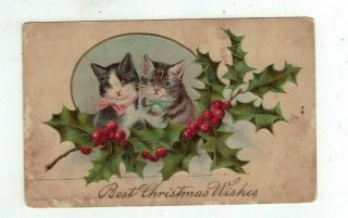 Antique Embossed Cats Kittens Christmas Post Card