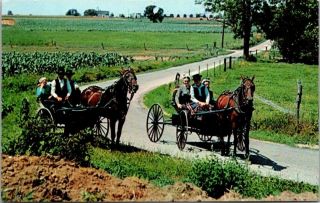 Postcard Pa Pennsylvania Lancaster County Amish Buggy Farm Lane Country Summer