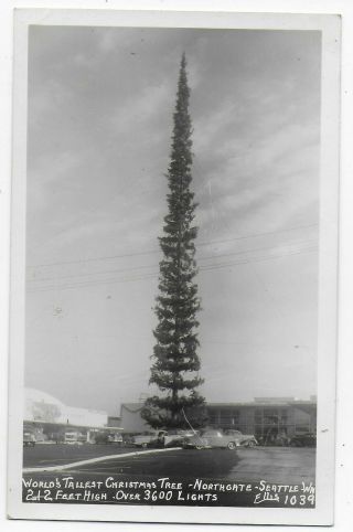 Worlds Tallest Christmas Tree Seattle Wa Old Real Photo Postcard