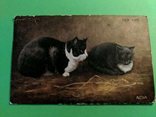 Cat Vintage Postcard.  Art.  2 Black And White Cats.  Pm 1924.  British.