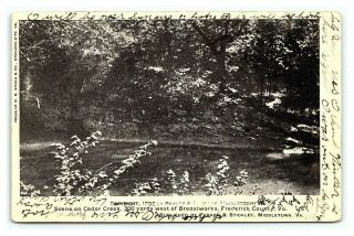 Vintage Postcard Scene On Cedar Creek Frederick County Virginia C6