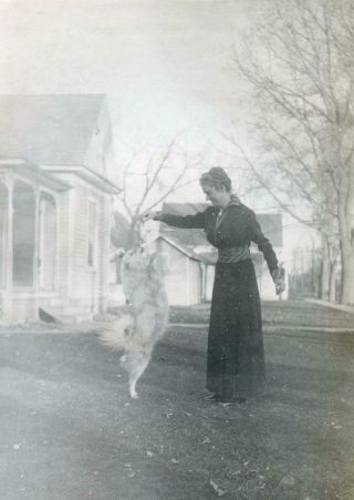 Ac429 Vtg Photo Edwardian Woman Dog Tricks C Early 1900 