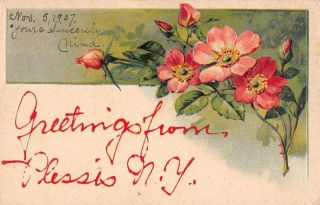 Plessis York Greetings Pink Flowers Vintage Postcard Ja4741415