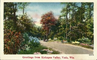 Viola Wi Greetings From Kickapoo Valley Vintage 1949 Postcard