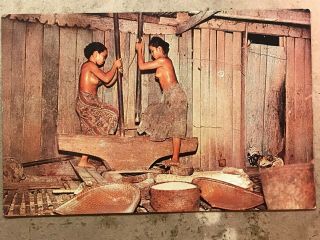 Vintage Postcard Topless Girls Rice,  Sarawak