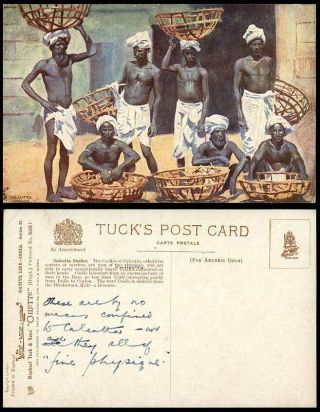 India Old Tuck 
