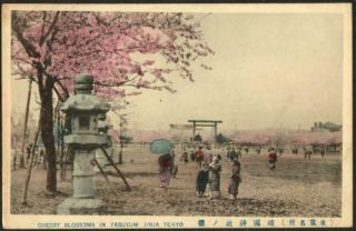 Japan Vintage Postcard C1910 - Cherry Blossoms In Yasukuni Jinja,  Tokyo