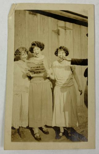 Disembodied Man And His Flapper Trio,  Playful Women,  Vintage Photo Snapshot