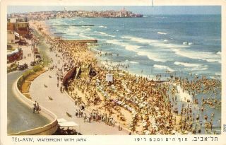 Tel - Aviv Israel 1940 - 50s Postcard Waterfront With Jaffa