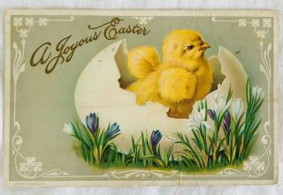 Antique Embossed Easter Postcard By Wesley - Chick Hatching From Egg - 1911