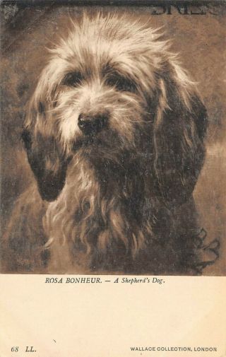 M1911 Dog Postcard,  " A Shepherd 