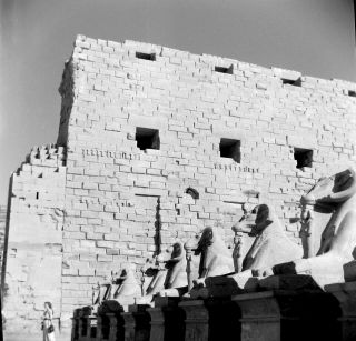 Sq222 Photo Negative 2 1/4 " Egypt 1950s Statues Wall Carvings