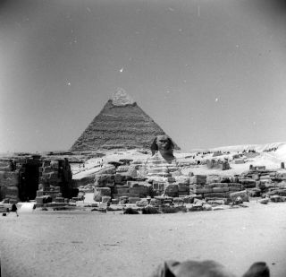 Sq129 Photo Negative 2 1/4 " Cairo Egypt 1955 Pyramic Sphinx Ruins