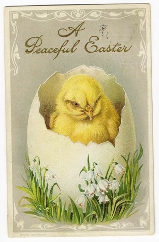 Easter Chick In Cracked Egg Postcard 1911 Flowers Chicken