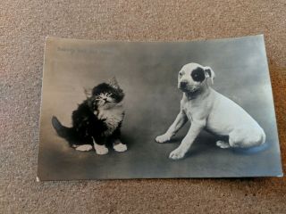 Vintage Cat Dog Postcard.  B/w.  Kitten And Puppy " Beauty And The Beast " British.