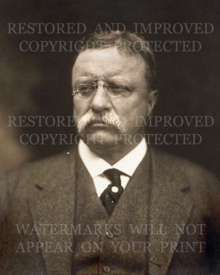 Us President Theodore Teddy Roosevelt 1915 Portrait Photo 5x7 Or Request 8x10 Or