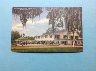 Vintage Roadside Postcard;tampa,  Florida; Sulphur Springs Tourist Club1948