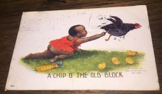 Vintage Black Americana Postcard Child Chasing Chicken Chicks Ullman