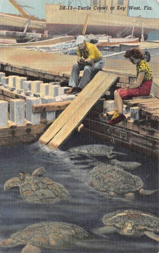C19 - 9220,  Turtle Crawl,  Key West,  Fl