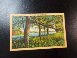 Vintage Postcard Jersey - Lily Lake & Lighthouse,  Cape May Point,  Nj