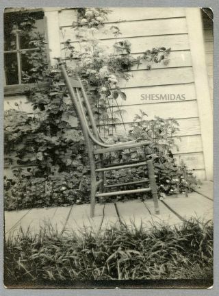 890 Oddball,  Profile Of A Chair,  Vintage Photo