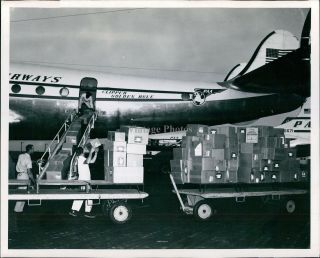 Pan American World Airways Plane Clipper Golden Rule Boxes Load Photo 8x10