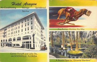 Vtg 1956 Postcard Hotel Aragon Ad Dog Racing Track Jacksonville Fl Florida A61
