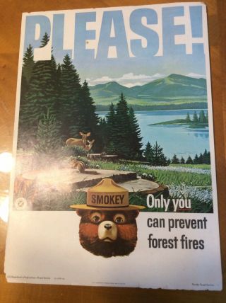 Smokey The Bear 1965 Vintage Poster