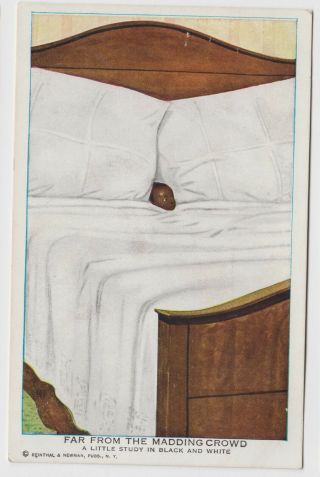Vintage Black Americana Postcard Far From The Madding Crowd Little Boy W Big Bed