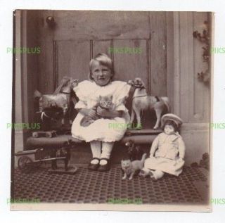 Old Photograph Cute Little Girl With Kitten Toy Horses & Doll Vintage C.  1900