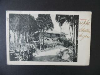 1906 Penang Straits Settlements Singapore View Postcard To Us York