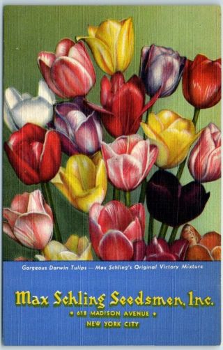 Linen Advertising Postcard Max Schling Seedsmen " Darwin Tulips " Flowers 1944