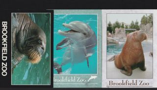 3 - The Brookfield Zoo Illinois Postcards Walrus / Atlantic Bottlenosed Dolphin