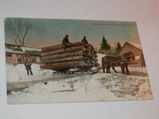 Adirondacks Ny - Rare Old Postcard - Lumbering - Horse Drawn Sleigh Of Logs