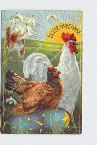 Ppc Postcard Easter Greetings Rooster And Hen Sitting On Decorated Egg Sunrise I