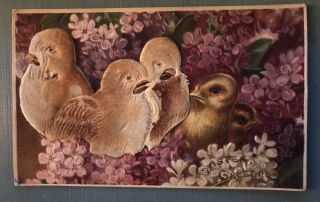 Novelty Easter Chicks With Applied Felt & Violets Flowers Easter Postcard - A76