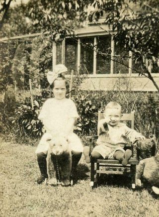 Q560 Vtg Photo Steiff Bear On Wheels,  Bear Toys Rocking Chair C Early 1900 