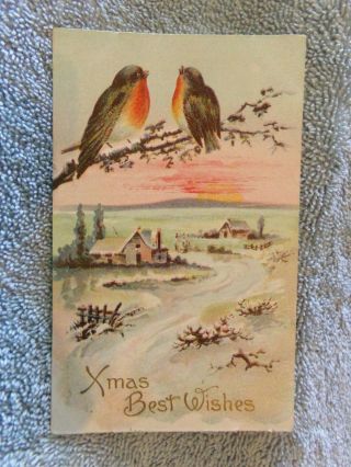 Vintage Postcard Xmas Best Wishes,  Winter Scene With Birds Sitting On A Limb