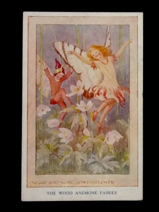 C1940 Margaret Tarrant,  Artist Signed,  Wood Anemone Fairies Vintage Postcard