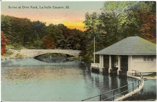 Scene At Deer Park,  La Salle County Il Postcard 1913