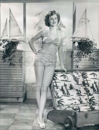 Press Photo Lovely Leggy Jane Harker Models Two Piece Swimsuit