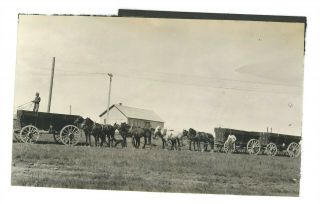 Photo Western Wagon Train Horses On Plains Montana Missoula? Mt 1910s 1