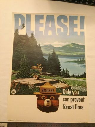 Vintage Smokey The Bear Forest Service Poster Please Only You Can Prevent 1965