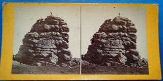 Real Photo Stereoview - Reed 