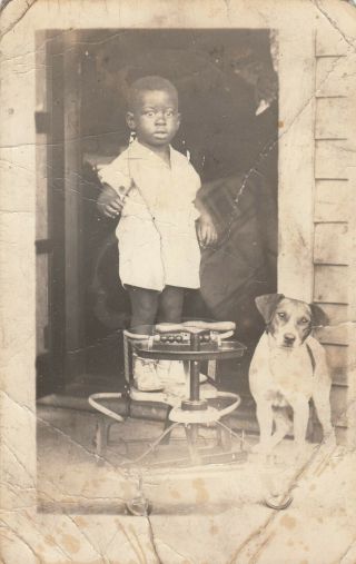 Vintage Rppc Black Americana Postcard Young Boy & Dog Antique African American