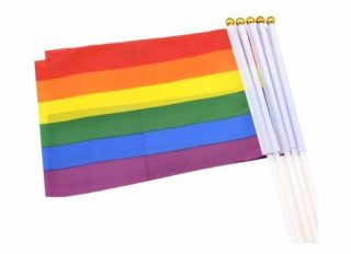 50 Rainbow Lgbt Gay Pride Carnival Festival Hand Waving Flags M - 2