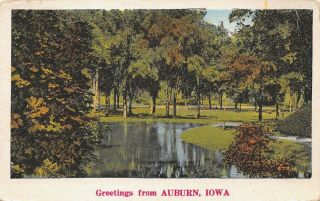 Vtg Postcard Greetings From Auburn Iowa Park Trees Ia / B30