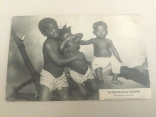 Black Americana Racist Post Card Posted 1906 3 Black Crows