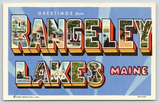 Rangeley Lakes Maine Large Letter Linen Postcard Bear Fox Squirrel Birches 1945